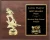 Classic Football Plaque