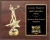 Classic Volleyball Plaque