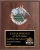 Sculptured Colored Relief Football Plaque