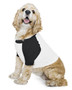 BB953W American Apparel Poly-Cotton 3/4-Sleeve Raglan Dog T-Shirt