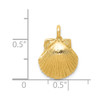14K YELLOW GOLD POLISHED SOLID CASTED SEA SHELL CHARM PENDANT