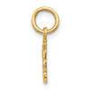 14K Yellow Gold Polished Solid Textured Back Textured Swiss Cheese Charm Pendant