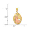 10k Two Tone Gold Cross, Bible & Rose Praying Hands in Oval Frame Pendant