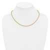 1/20 14k Gold Filled Lobster Clasp Plain Lightweight 3mm Ropa Chain | 16" to 24"