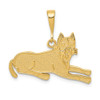 14k Yellow Gold Textured Polished Casted Solid Textured Back Pit Bull Dog Charm
