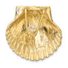 14K Yellow Gold Medium Sized Satin Scallop Shell Slide Fits up to 10mm Necklace
