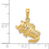 14K Yellow Gold Polished and Textured Sea Life Small Fish w/ Open Mouth Charm