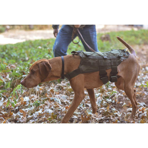 TRACKING AND FIELD K9 HARNESS