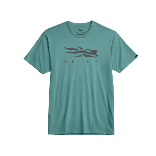 {"colorName":"Aqua","colorCode":"AQ","number":"1","isModel":false}