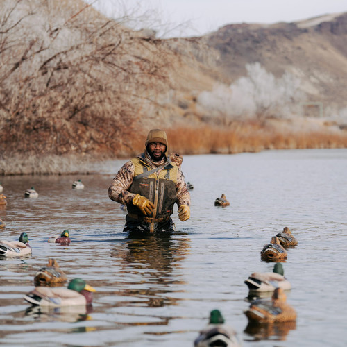 {"colorName":"Earth","colorCode":"EA","number":"31","isModel":false}