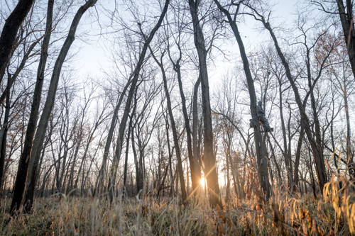 {"colorName":"Optifade Elevated II","colorCode":"EV","number":"32","isModel":false}