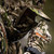 {"colorName":"Optifade Subalpine","colorCode":"SA","number":"32","isModel":false}