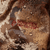 {"colorName":"Optifade Waterfowl Marsh","colorCode":"WL","number":"10","isModel":false}