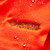 {"colorName":"Blaze Orange","colorCode":"BL","number":"10","isModel":false}