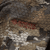 {"colorName":"Optifade Waterfowl Timber","colorCode":"TM","number":"09","isModel":false}