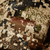 {"colorName":"Optifade Subalpine","colorCode":"SA","number":"10","isModel":false}