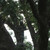 {"colorName":"Optifade Cover","colorCode":"COV","number":"32","isModel":false}