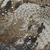 {"colorName":"Optifade Waterfowl Timber","colorCode":"TM","number":"11","isModel":false}