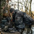 {"colorName":"Optifade Waterfowl Timber","colorCode":"TM","number":"31","isModel":false}
