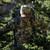 {"colorName":"Optifade Subalpine","colorCode":"SA","number":"32","isModel":false}