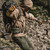 {"colorName":"Buckskin","colorCode":"BUC","number":"32","isModel":false}