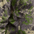 {"colorName":"Optifade Cover","colorCode":"COV","number":"08","isModel":false}
