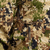 {"colorName":"Optifade Subalpine","colorCode":"SA","number":"08","isModel":false}