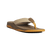 {"colorName":"Coyote","colorCode":"CY","number":"1","isModel":false}