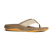 {"colorName":"Gravel Blue", "colorCode":"GR", "number":"kfi2", "isModel":false,"isFeatured":"2"}