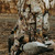 {"colorName":"Cattail Brown", "colorCode":"CTB", "number":"kfi2", "isModel":false,"isFeatured":"2"}
