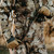{"colorName":"Cattail Brown", "colorCode":"CTB", "number":"kfi3", "isModel":false,"isFeatured":"3"}