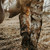 {"colorName":"Optifade Waterfowl Marsh","colorCode":"WL","number":"10","isModel":false}