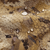 {"colorName":"Optifade Waterfowl Marsh","colorCode":"WL","number":"14","isModel":false}