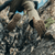 {"colorName":"Earth","colorCode":"EA","number":"07","isModel":false}