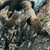 {"colorName":"Metal Grey","colorCode":"MG","number":"07","isModel":false}