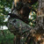 {"colorName":"Optifade Cover","colorCode":"COV","number":"31","isModel":false}