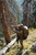 {"colorName":"Optifade Subalpine","colorCode":"SA","number":"31","isModel":false}