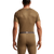 {"colorName":"Coyote","colorCode":"CY","number":"04","isModel":false}
