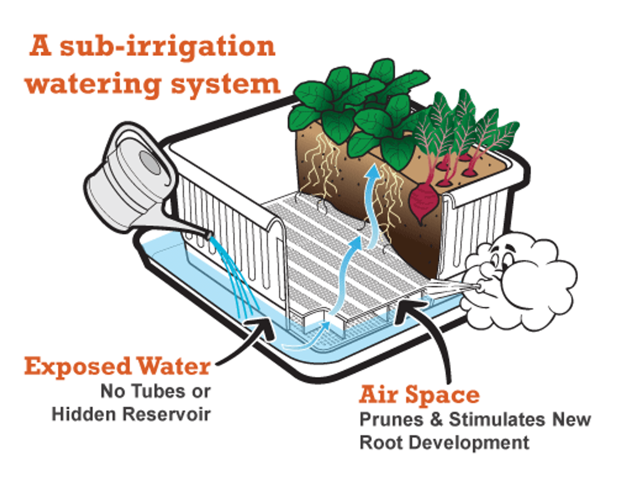 sub irrigation