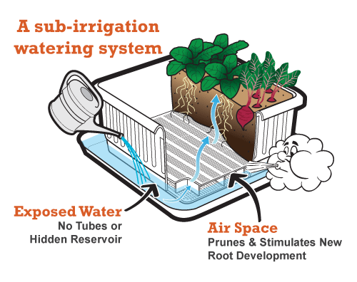 Sub Irrigation
