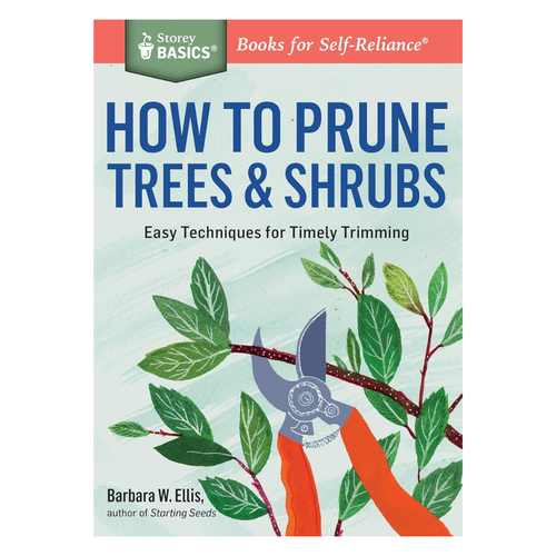How to Prune Trees & Shrubs