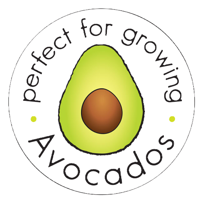 avocado-icon-background-free.png