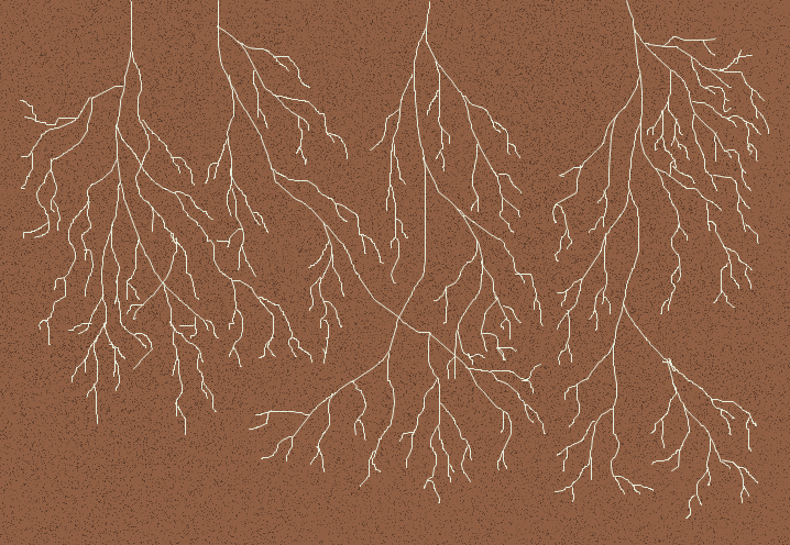 organic-matter.png