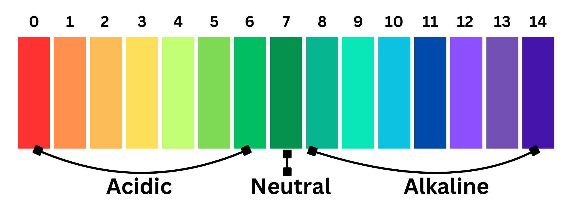 ph-scale.png