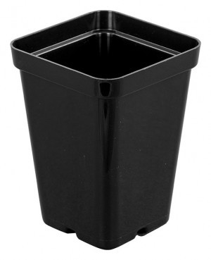 Sunpack 2.5" Square Pot, Black - Image 4