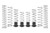 Eibach 24-26 Can-Am Maverick X3 MAX Pro-UTV Stage 3 Kit - Set of 8 - E85-212-018-03-22 Photo - Primary