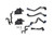 Ford Racing 22-25 Ford Bronco / 24-25 Ford Ranger Raptor Air-Oil Separator - M-6766-RR30 User 1