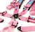 NRG 5PT 3in. Seat Belt Harness / Cam Lock - Pink - SBH-B6PCPK Photo - Close Up