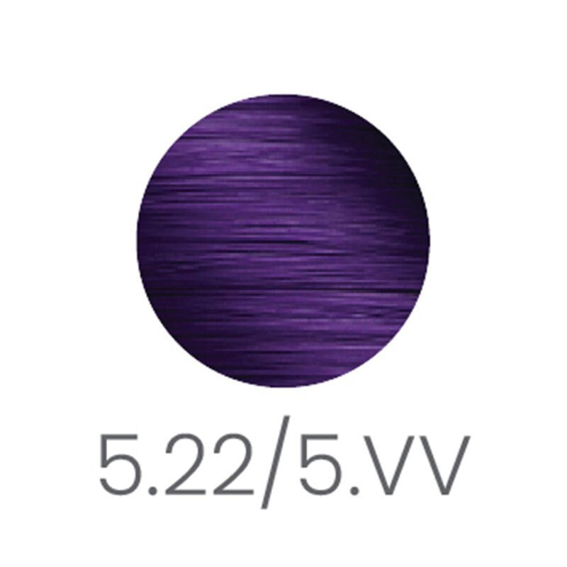 Eleven Color 5.22/5.VV Light Brown Violet Intense