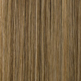  Amplify Hand Tied Extensions - 6N10CG Coy 